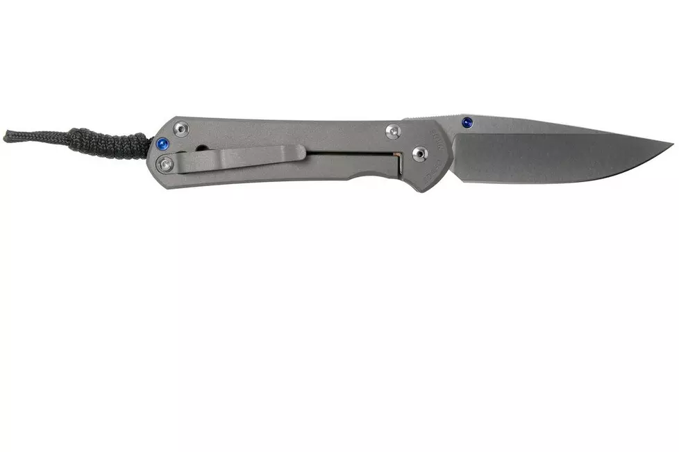 CHRIS REEVE L31-1000 Large Sebenza 31 - סכין מתקפלת פרימיום בצבע אפור 2 CHRIS REEVE L31-1000 Large Sebenza 31 - סכין מתקפלת פרימיום בצבע אפור – תמונה 2