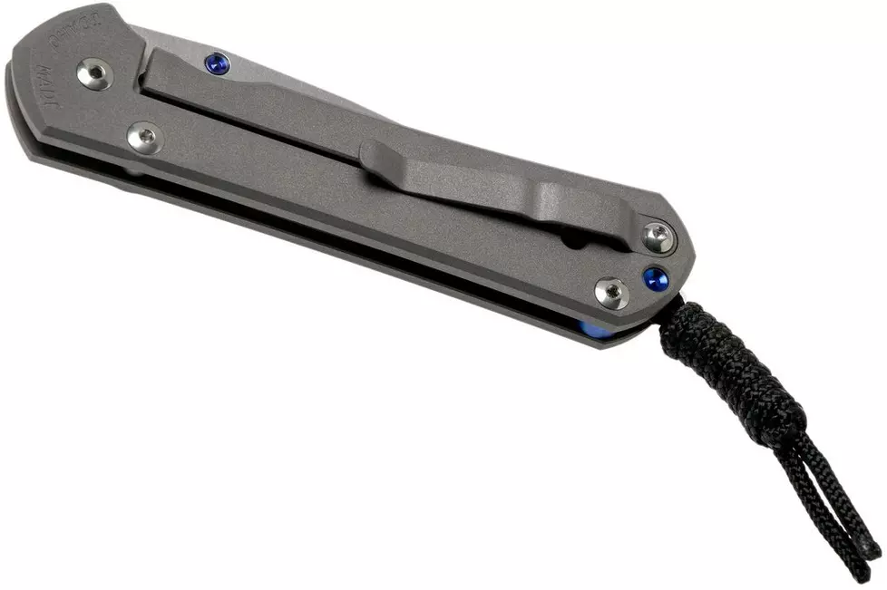 CHRIS REEVE L31-1000 Large Sebenza 31 - סכין מתקפלת פרימיום בצבע אפור 7 CHRIS REEVE L31-1000 Large Sebenza 31 - סכין מתקפלת פרימיום בצבע אפור – תמונה 7