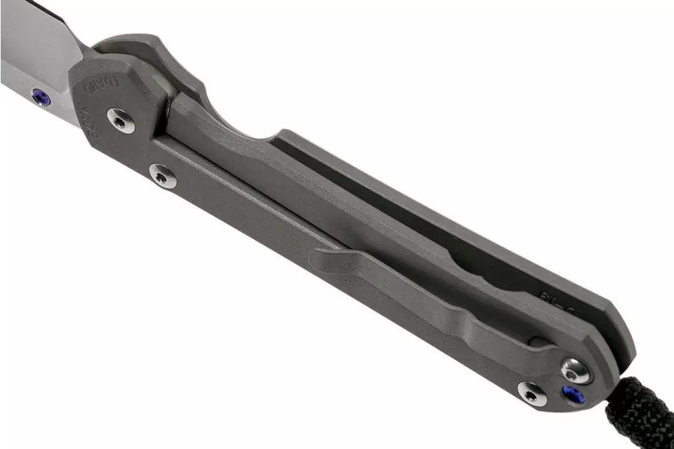 CHRIS REEVE L31-1000 Large Sebenza 31 - סכין מתקפלת פרימיום בצבע אפור 6 CHRIS REEVE L31-1000 Large Sebenza 31 - סכין מתקפלת פרימיום בצבע אפור – תמונה 6