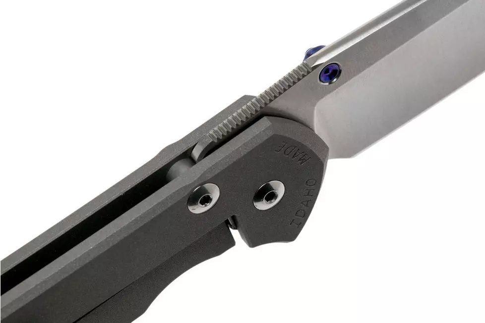 CHRIS REEVE L31-1000 Large Sebenza 31 - סכין מתקפלת פרימיום בצבע אפור 4 CHRIS REEVE L31-1000 Large Sebenza 31 - סכין מתקפלת פרימיום בצבע אפור – תמונה 4