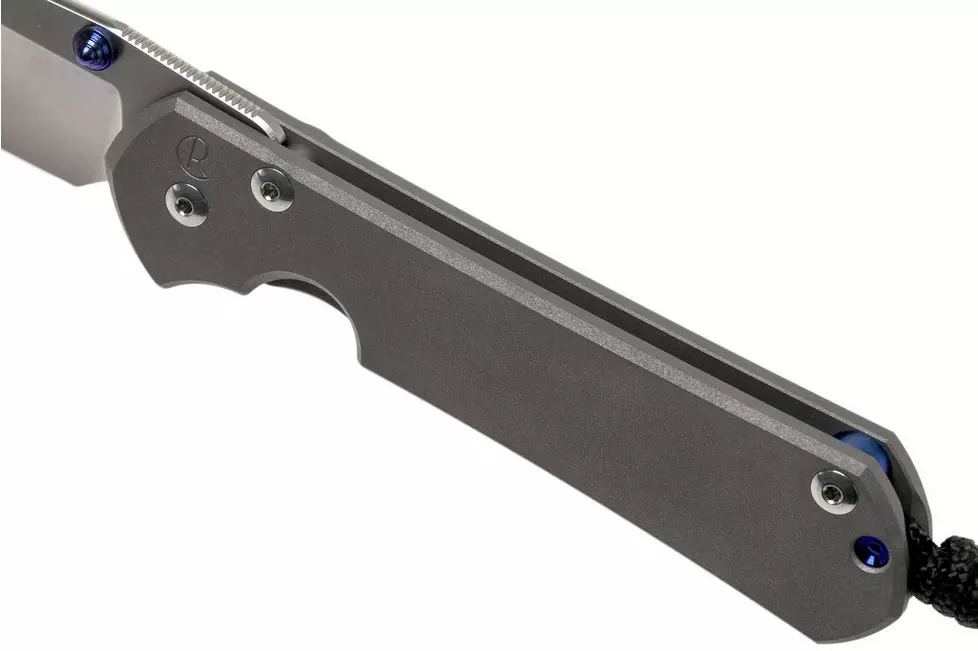 CHRIS REEVE L31-1000 Large Sebenza 31 - סכין מתקפלת פרימיום בצבע אפור 5 CHRIS REEVE L31-1000 Large Sebenza 31 - סכין מתקפלת פרימיום בצבע אפור – תמונה 5