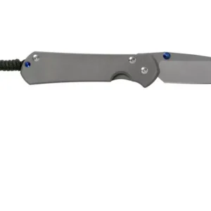 CHRIS REEVE L31-1001 LH Large Sebenza 31 - סכין מתקפלת פרימיום בצבע אפור לשמאליים