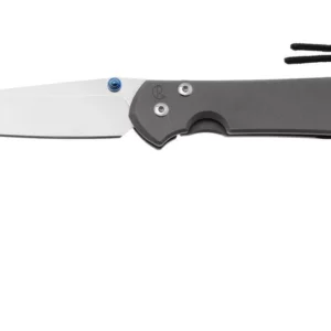 CHRIS REEVE L31-1010 Large Sebenza 31 Tanto - סכין מתקפלת פרימיום עם להב טנטו בצבע אפור